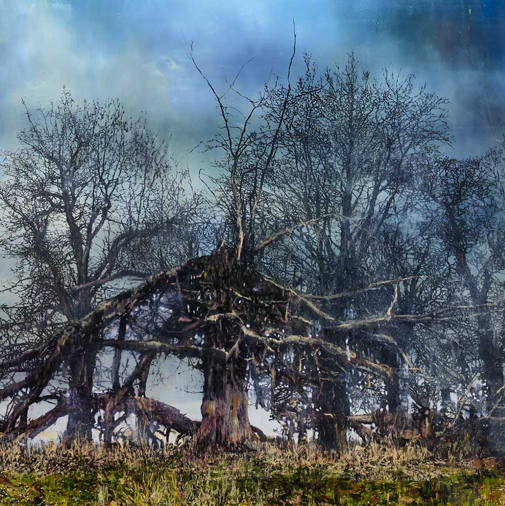 Dying Tree, Chilston Manner