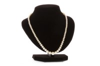 Lot 752 - SINGLE STRAND CIRO PEARL NECKLACE formed by...