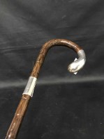 Lot 291 - SILVER MOUNTED CANE