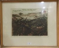 Lot 424 - JAMES HANNIGAN BIRDS MOSS coloured etching