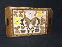Lot 141 - INLAID SERVING TRAY decorated with butterflies