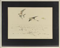 Lot 627 - PRATINCOLES AND BLACK-HEADED WAGTAILS, BY JOHN BUSBY