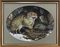 Lot 425 - THE SCOTTSH WILDCAT,  BY KENNETH W PADLEY