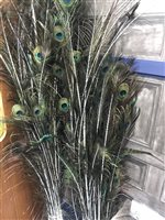 Lot 251 - PEACOCK FEATHERS
