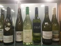Lot 5 - A SELECTION OF WHITE WINE INCLUDING PETIT CHABLIS AND CHENIN BLANC - TWELVE BOTTLES