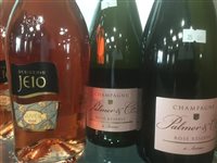 Lot 14 - A SELECTION OF CHAMPAGNE AND SPARKLING WINE - TWELVE BOTTLES