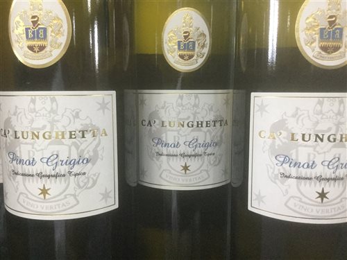 Lot 15 - A SELECTION OF PINOT GRIGIO AND OTHER WHITE WINE - TWELVE BOTTLES