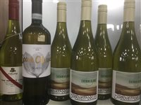 Lot 22 - A SELECTION OF CHENIN BLANC AND OTHER WHITE WINE - TWELVE BOTTLES