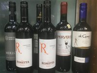 Lot 23 - A SELECTION OF SYRAH AND OTHER RED WINE - TWELVE BOTTLES