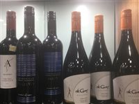 Lot 25 - A SELECTION OF PINOT NOIR AND OTHER RED WINE - TWELVE BOTTLES