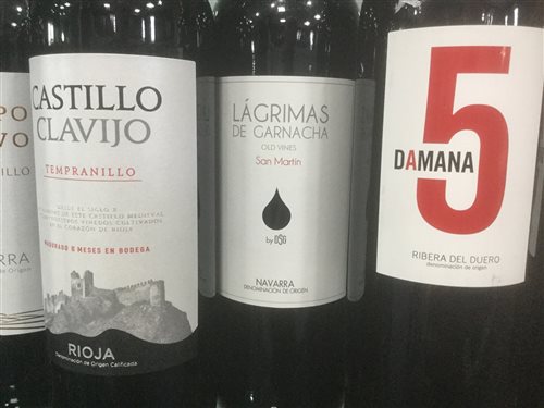Lot 31 - A SELECTION OF RIOJA AND OTHER RED WINE - TWELVE BOTTLES