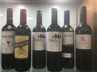 Lot 33 - A SELECTION OF MERLOT AND OTHER RED WINE - TWELVE BOTTLES