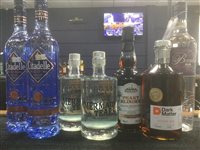 Lot 55 - A SELECTION OF RUM, VODKA AND GIN - SEVEN BOTTLES