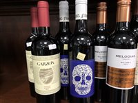 Lot 71 - A SELECTION OF CHIANTI AND OTHER RED WINE - TWELVE BOTTLES