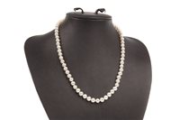 Lot 45 - A PEARL NECKLACE