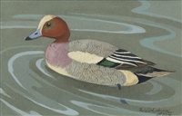 Lot 514 - A PAIR OF GOUACHES DEPICTING DUCKS, BY RALSTON GUDGEON