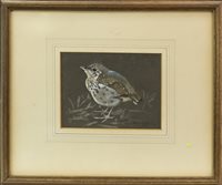 Lot 173 - A YOUNG ROBIN, BY RALSTON GUDGEON