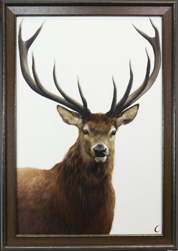 Lot 205 - STAG, AN OIL ON CANVAS BY PIPPA CARTER