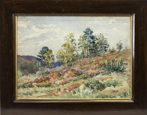 Lot 705 - AUTUMN IN THE CATSKILLS, A WATERCOLOUR BY JERVIS MCENTEE