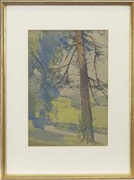 Lot 489 - RURAL PATH WITH TREES, A WATERCOLOUR BY JAMES PATERSON
