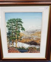 Lot 339 - A WATERCOLOUR OF LOCH MAREE AND SLIOCH, WESTER ROSS