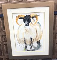 Lot 16 - A LARGE WATERCOLOUR OF A RAM