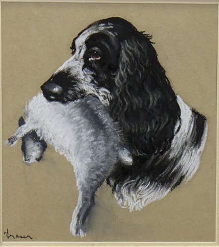 Lot 459 - SET OF FOUR PORTRAITS OF SPANIELS, A SET OF FOUR PASTELS BY L W FRASER