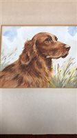 Lot 284 - A PORTRAIT OF A RED SETTER