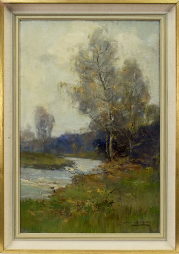 Lot 501 - THE BIRCH TREE, AN OIL BY ARCHIBALD KAY