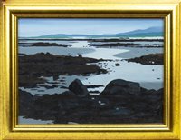 Lot 645 - MORNING MIST, NORTH UIST, AN OIL BY DONALD MCKENZIE
