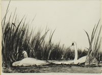 Lot 514 - SWANS RESTING, AN ETCHING