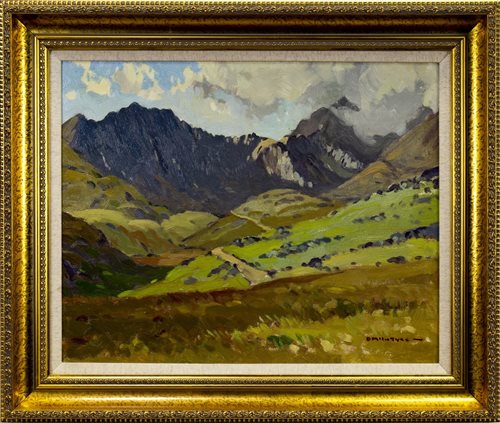 Lot 680 - SNOWDON, WALES, AN OIL BY DONALD MCINTYRE