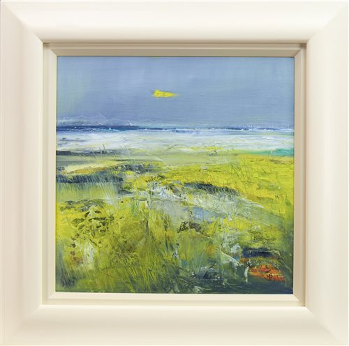 Lot 670 - STORM LIGHT, HEBRIDES, AN OIL BY MAY BYRNE