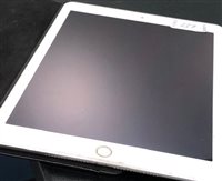 Lot 237 - AN APPLE IPAD WITH CASE