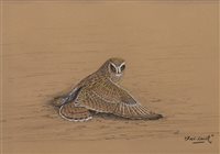 Lot 542 - LONG-EARED OWL, A CHARCOAL BY 'FISH-HAWK'
