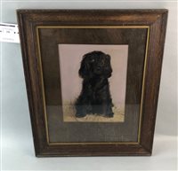 Lot 250 - AN OIL ON CANVAS DEPICTING A SPANIEL