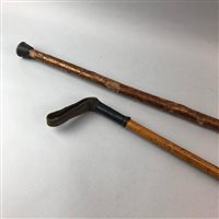 Lot 263 - A RAM'S HORN HANDLED WALKING STICK AND A WALKING CANE
