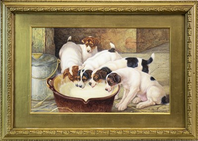 Lot 466 - DRINK, PUPPY, DRINK, A WATERCOLOUR BY VALENTINE GARLAND