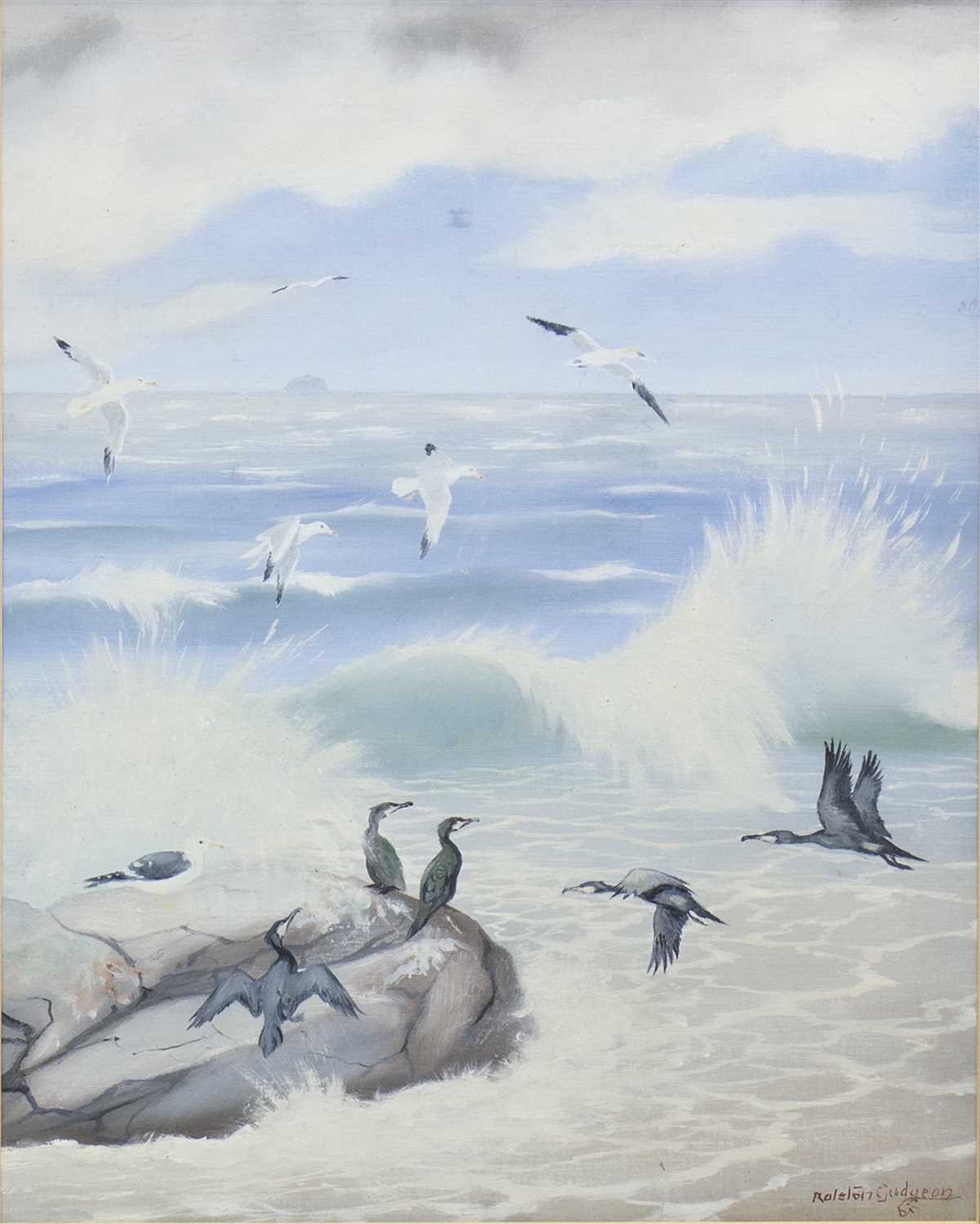 Lot 406 - CORMORANTS AND SEAGULLS, AN OIL BY RALSTON GUDGEON