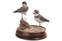 Lot 1280 - A GEOFF AND JOANIE SKEETE MODEL OF TWO BIRDS