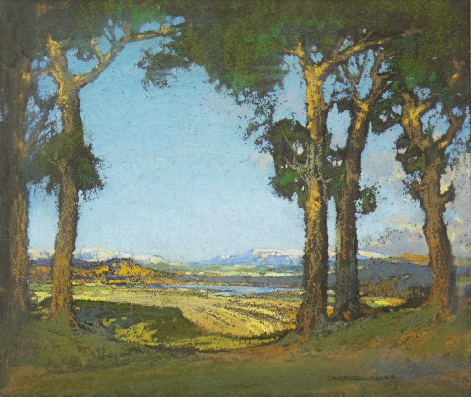 Lot 423 - THROUGH THE TREES, A PASTEL BY CAMPBELL MACKIE