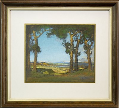 Lot 423 - THROUGH THE TREES, A PASTEL BY CAMPBELL MACKIE