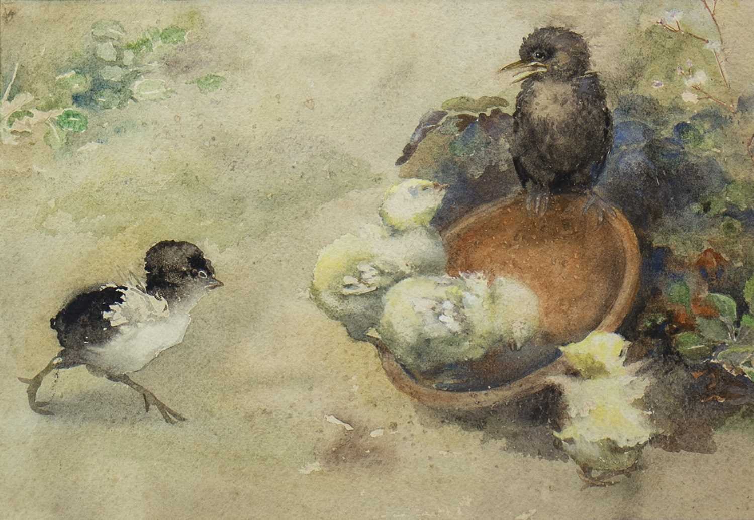 Lot 614 - CHICKS, A WATERCOLOUR ATTRIBUTED TO NELLIE ELLEN HARVEY
