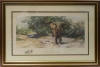 Lot 1082 - * DAVID SHEPHERD, TEMBO MZEE colour print,...