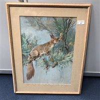 Lot 369 - A BRITISH SCHOOL PAINTING OF A SQUIRREL