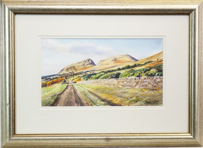 Lot 661 - DUMGOYNE FROM THE WATER TRACK, A WATERCOLOUR BY ROBERT DICK