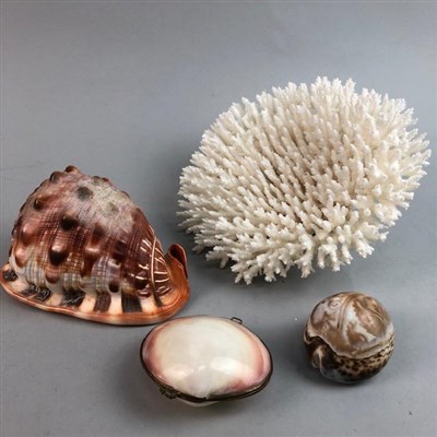Lot 223 - A DECORATIVE PIECE OF CORAL AND THREE SEA SHELLS