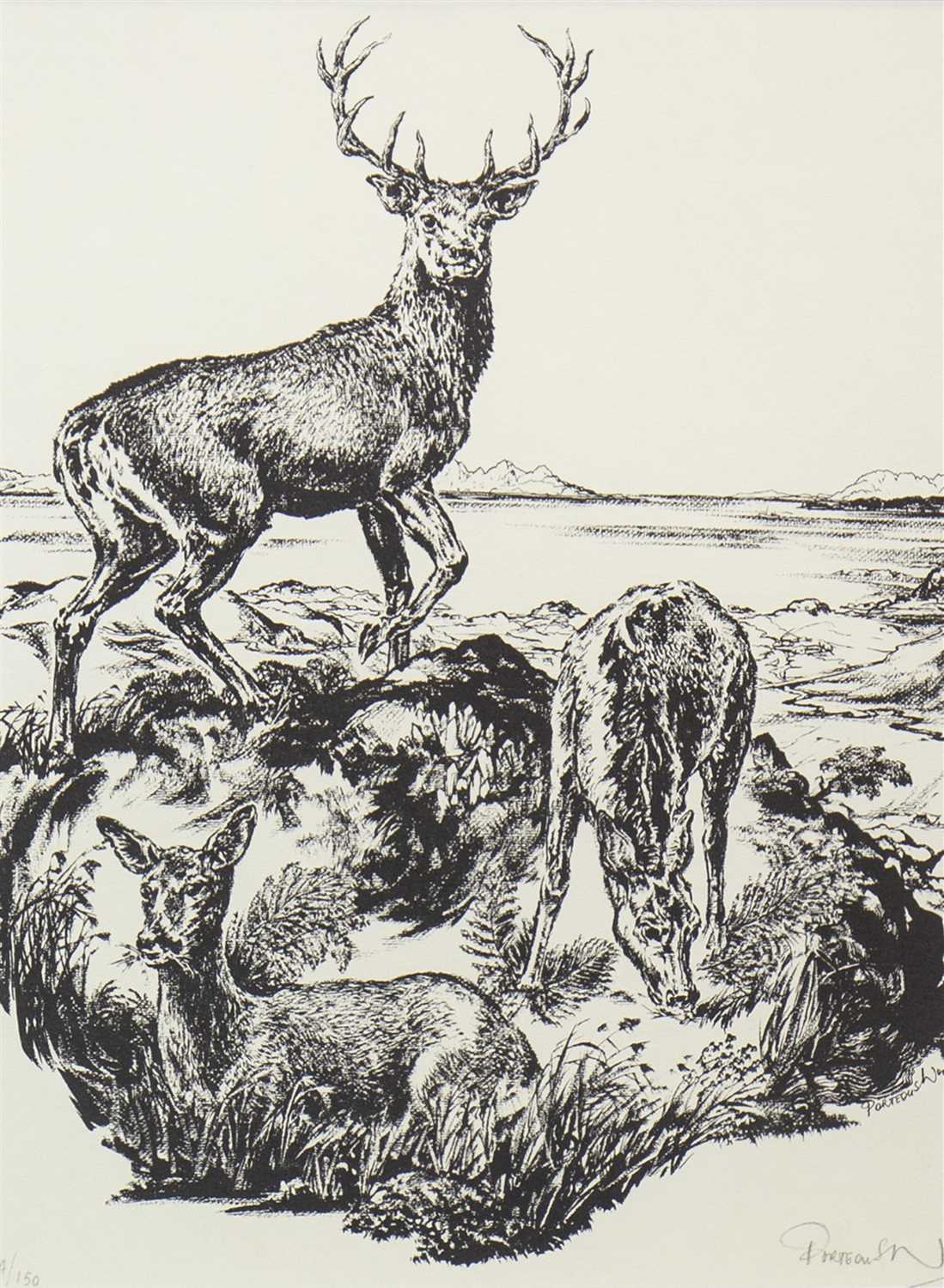 Lot 730 - DEER AND STAG, AN INK BY JAMES PORTEOUS-WOOD