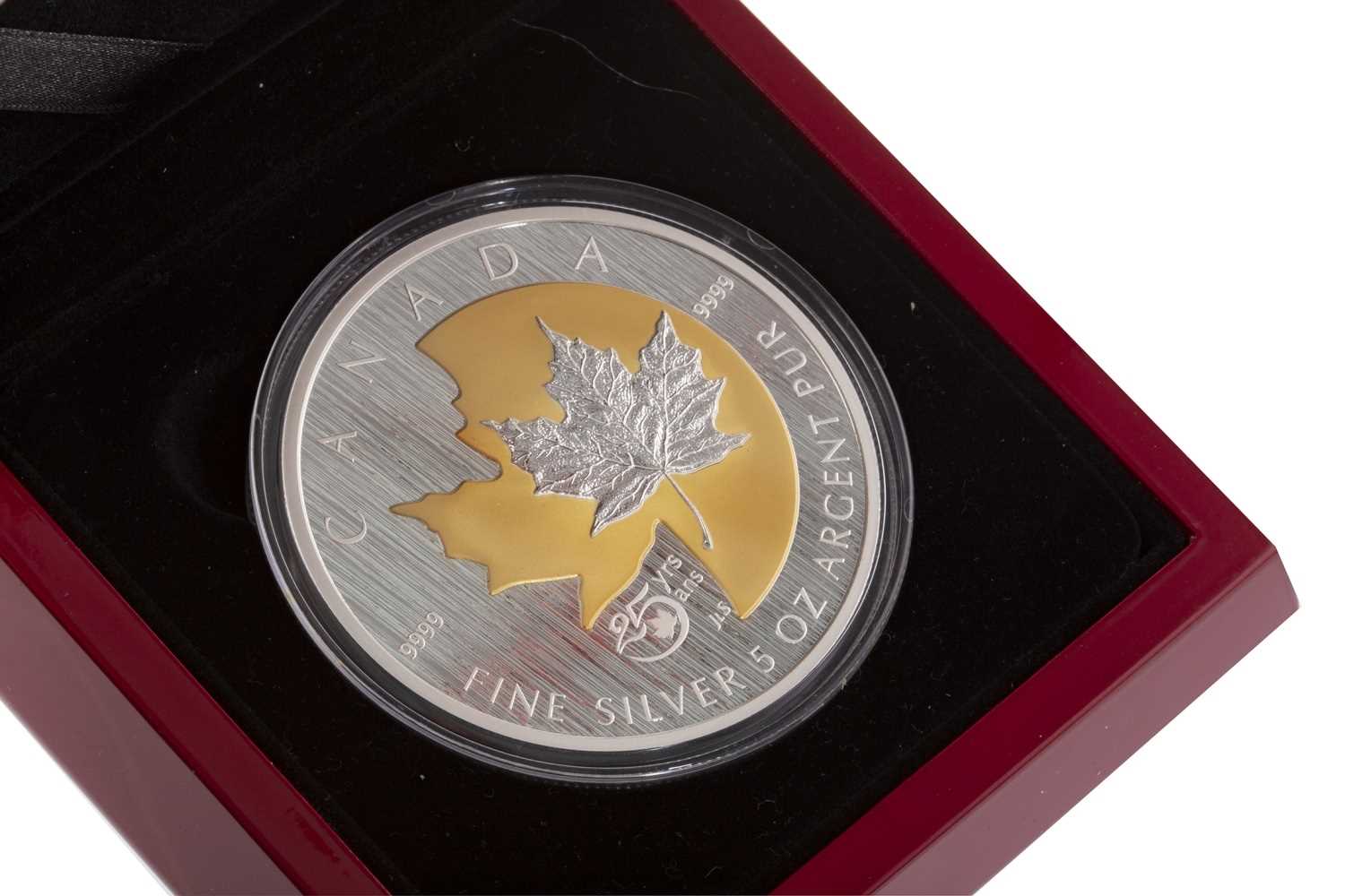 Lot 516 - A THE ROYAL CANADIAN MINT 2013 5-OUNCE SILVER COIN