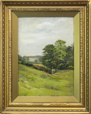 Lot 744 - RURAL LANDSCAPE, AN OIL BY WILLIAM DRUMMOND YOUNG